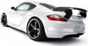 Der Cayman S, eine echter Kaiman???